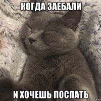 когда заебали и хочешь поспать