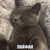  лайфак