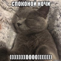споконой ночи (((((((((0000))))))))
