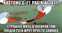 kaštonų g. 27, pagiriai 14117 страшно жить в пагиряй там людей гуси жрут просто заживо
