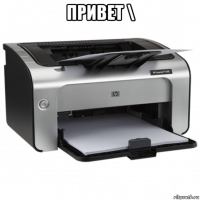 привет \ 