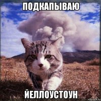 подкапываю йеллоустоун