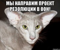 мы направим проект резолюции в оон! 