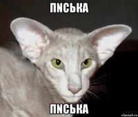 пnська пnська