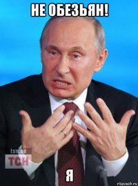 не обезьян! я