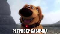  ретривер бабочка