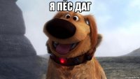 я пёс даг 