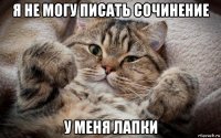 я не могу писать сочинение у меня лапки