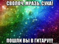 сволоч, мразь, сука! пошли вы в гитару!!!