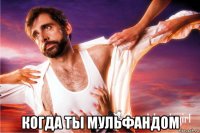  когда ты мульфандом