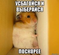усбагойся и выберайся поскорее