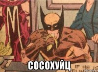  сосохуйц