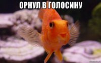 орнул в голосину 