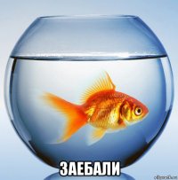  заебали