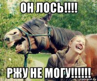 он лось!!!! ржу не могу!!!!!!