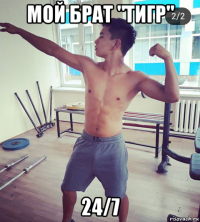 мой брат "тигр" 24/7