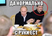 да нормально с руки ест