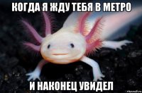 когда я жду тебя в метро и наконец увидел