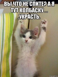 вы что не спите? а я тут колбаску . . .украсть. 
