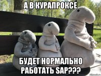 а в курапроксе будет нормально работать sap???