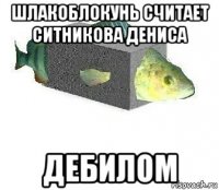шлакоблокунь считает ситникова дениса дебилом