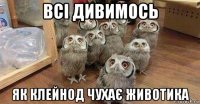всі дивимось як клейнод чухає животика