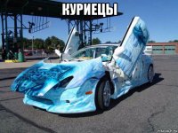 куриецы 