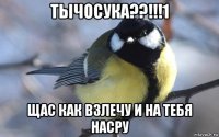 тычосука??!!!1 щас как взлечу и на тебя насру