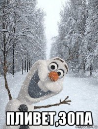  пливет,зопа
