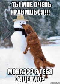 - ты мне очень нравишься!!! мона??? я тебя зацелую?