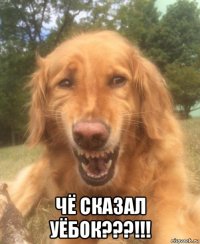  чё сказал уёбок???!!!
