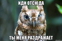 иди отсюда ты меня раздражает