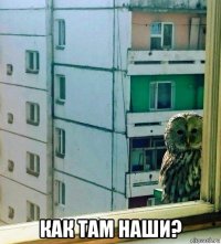  как там наши?