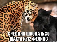  средняя школа №30 шахта №12 феликс