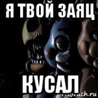 я твой заяц кусал