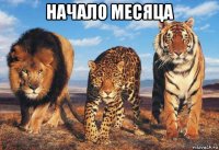 начало месяца 