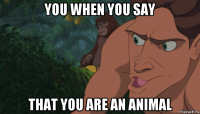 you when you say that you are an animal