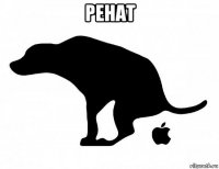 ренат 