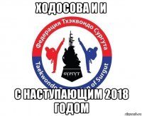 ходосова и и с наступающим 2018 годом