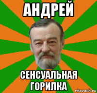 андрей сенсуальная горилка