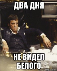 два дня не видел белого