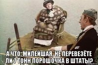  а что, милейшая, не перевезёте ли 7 тонн порошочка в штаты?