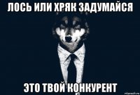 лось или хряк задумайся это твой конкурент
