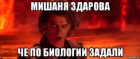 мишаня здарова че по биологии задали