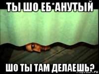 ты шо еб*анутый шо ты там делаешь?