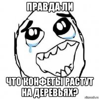 правда ли что конфеты растут на деревьях?
