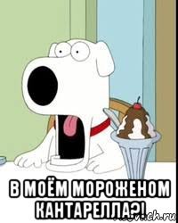  в моём мороженом кантарелла?!