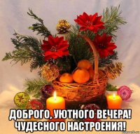  доброго, уютного вечера! чудесного настроения!