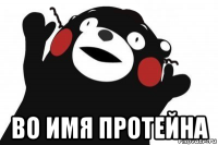  во имя протейна