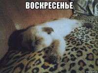 воскресенье 